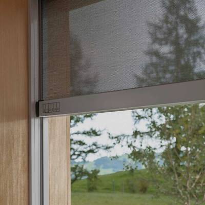 Heat protection for windows